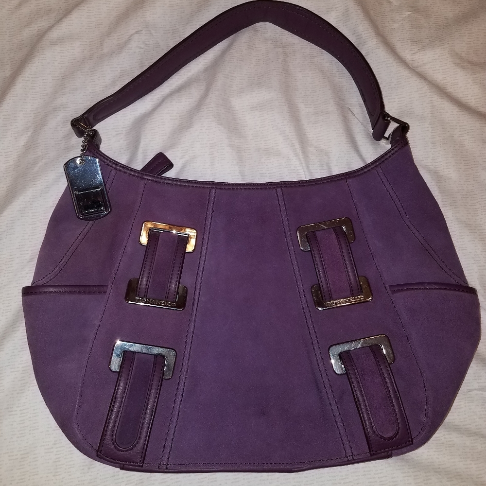 NEW TIGNANELLO BAG